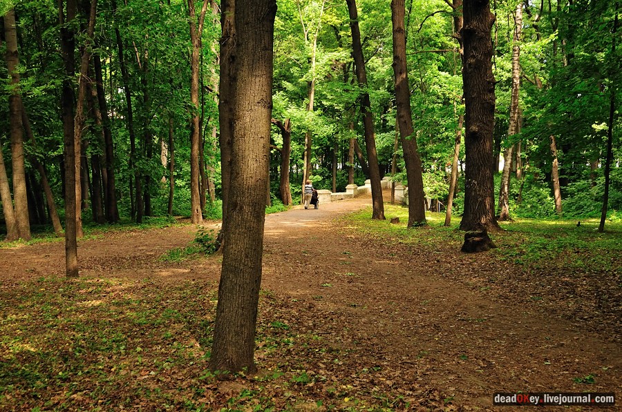 усадьба Братцево