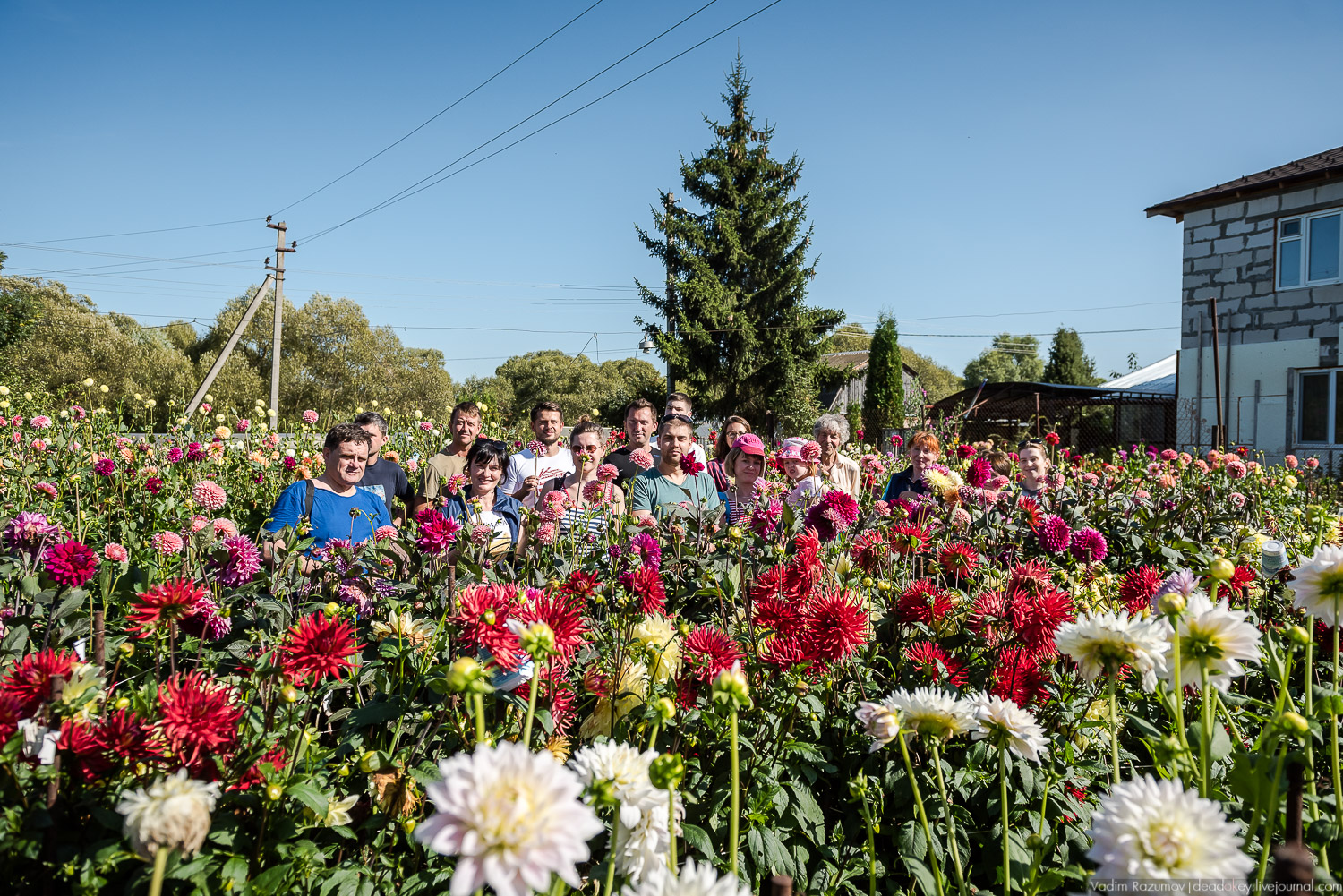 усадьба Сергиевское-на-Упе, Усадебные волонтеры 24 августа 2019 года
