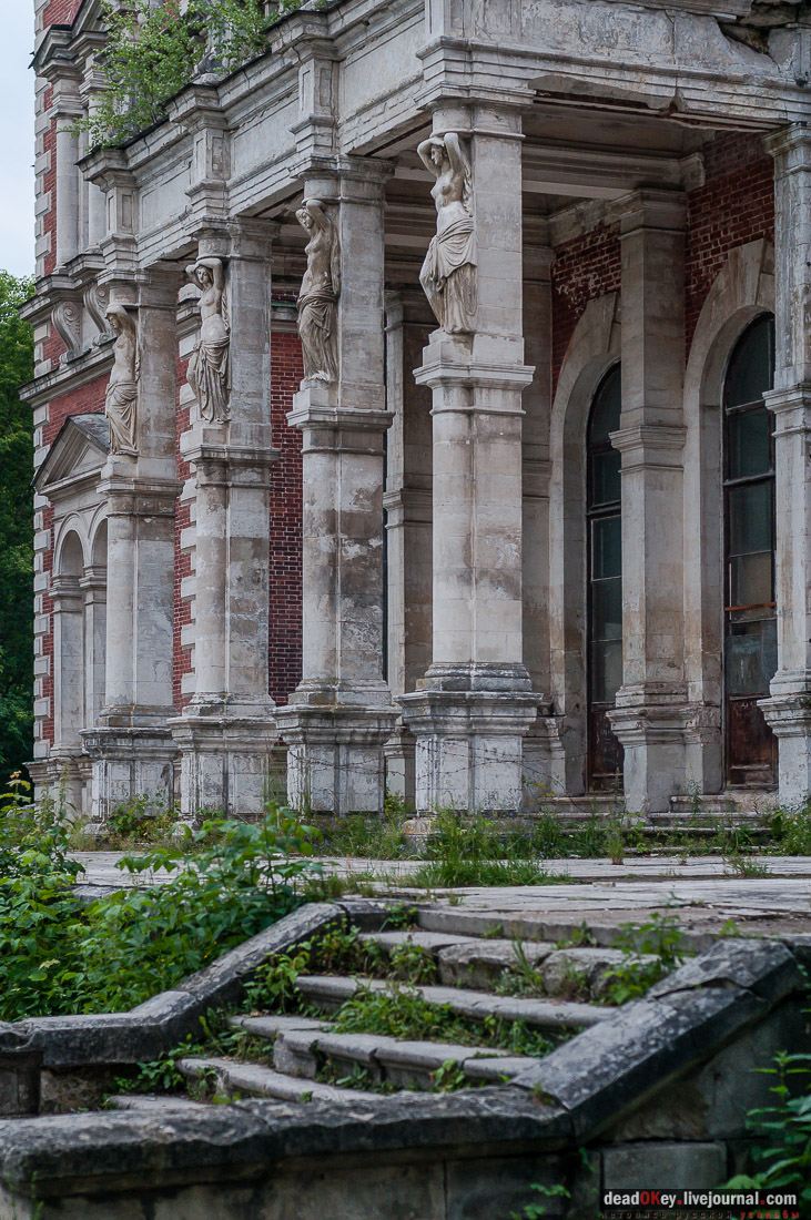 усадьба Быково, пресс-релиз встречи волонтеров