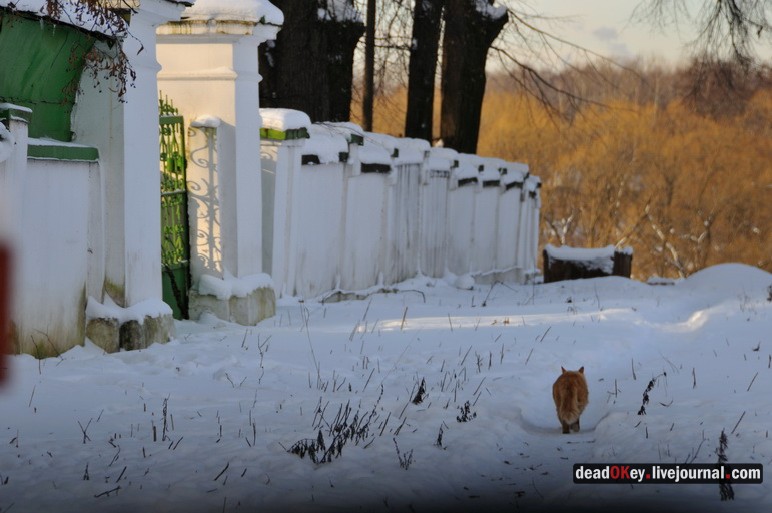 усадьба Троицкое-Кайнарджи