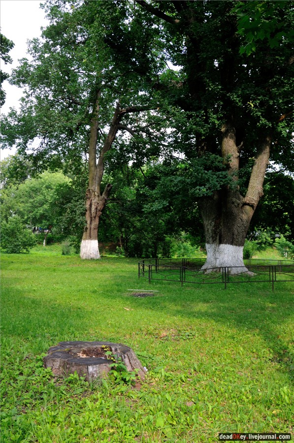 усадьба Щапово