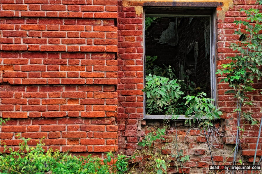 усадьба Ляхово