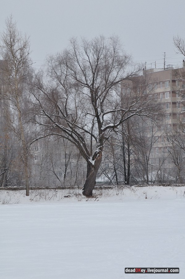 усадьба Лукино-Варино