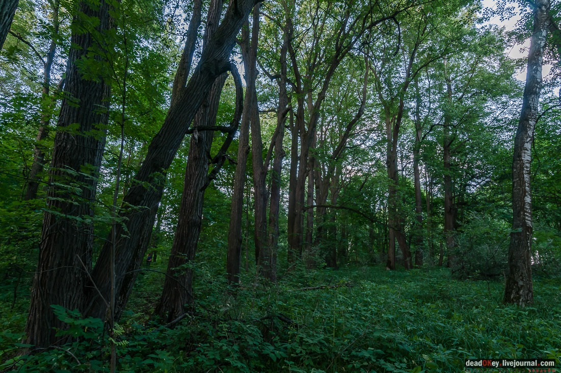 Усадьба Верзилово, аукцион, программа рубль за метр