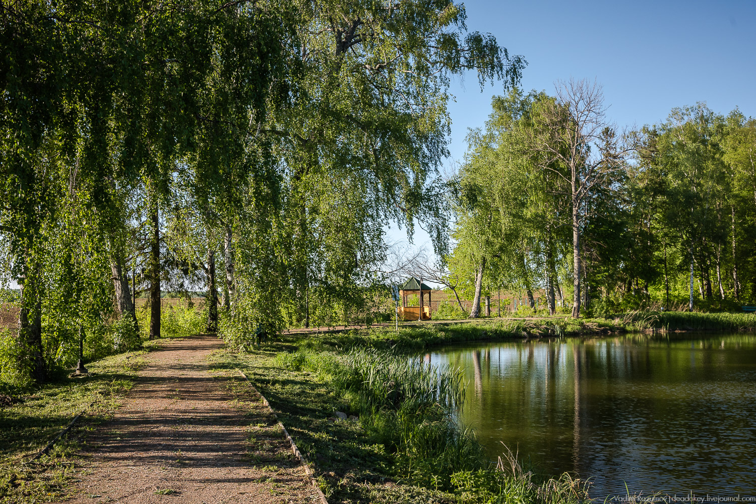 усадьба Воронино