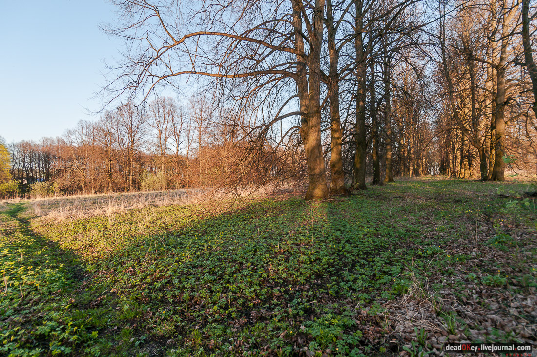 Усадьба Стародуб