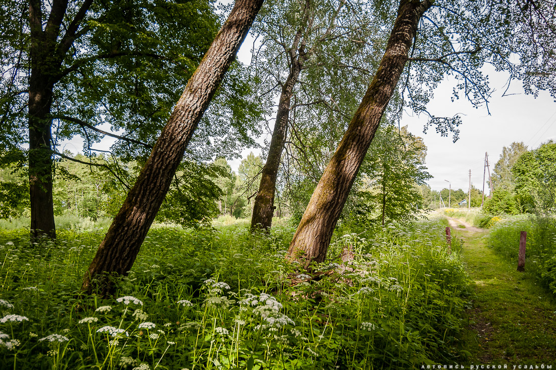 усадьба Спас-Угол