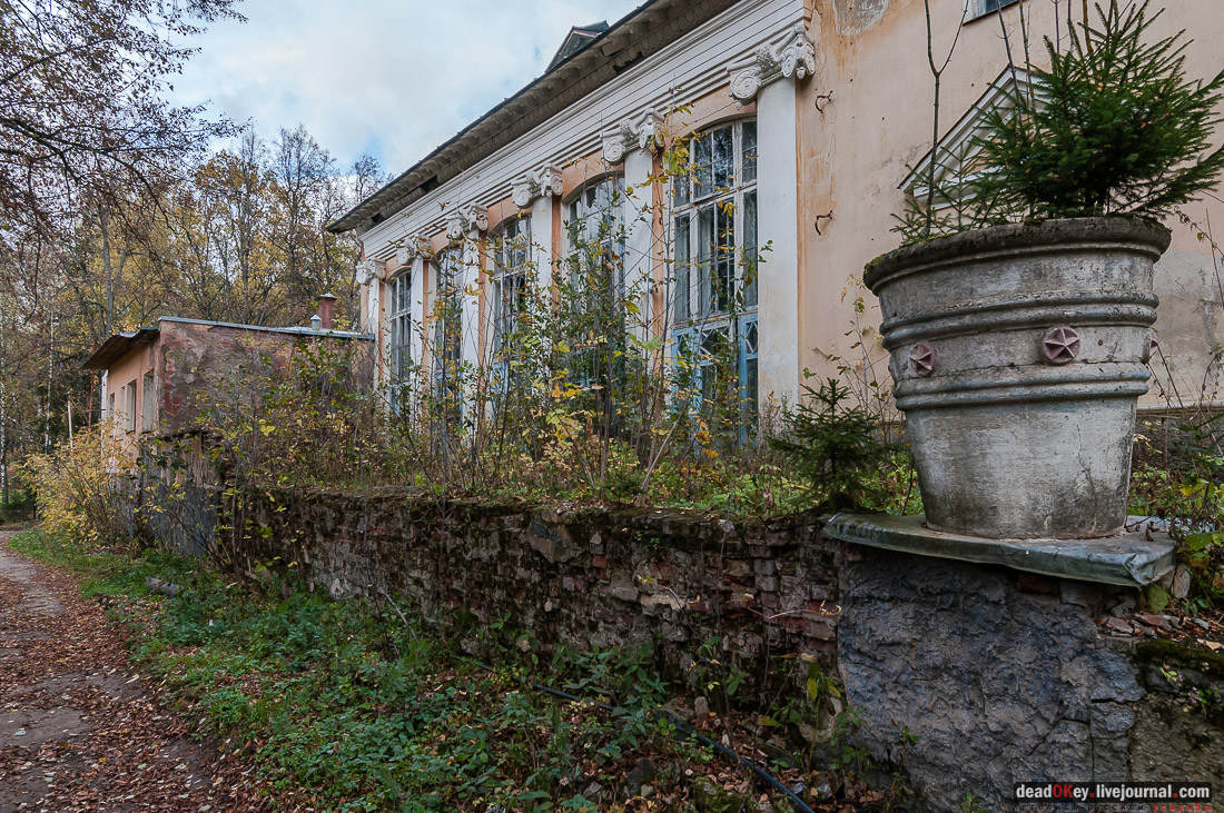 Усадьба Покровское-Рубцово