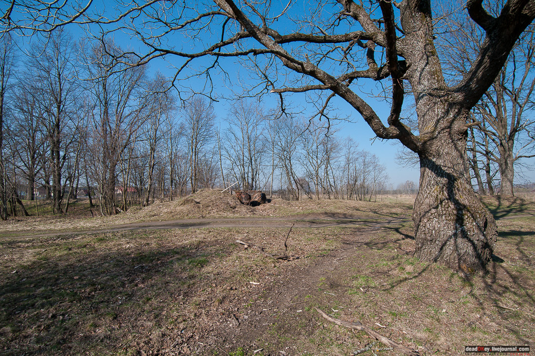 усадьба Савинское (исследование масонского парка)