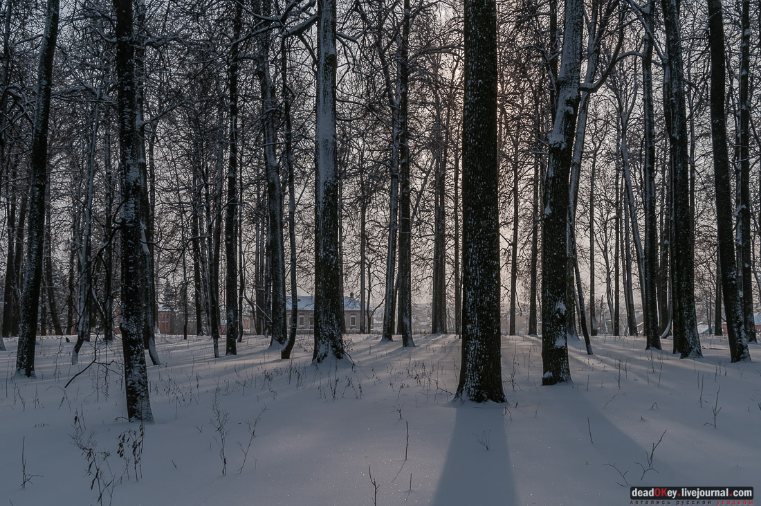 усадьба Шарапово