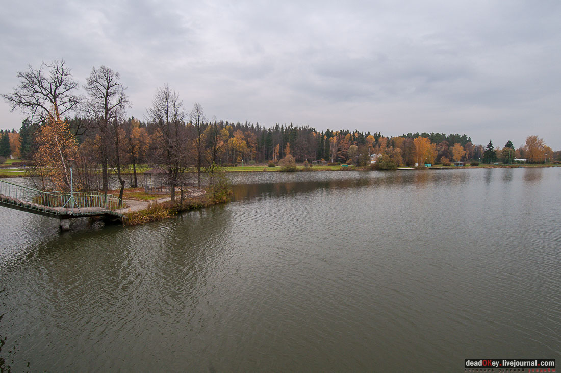 Вороново