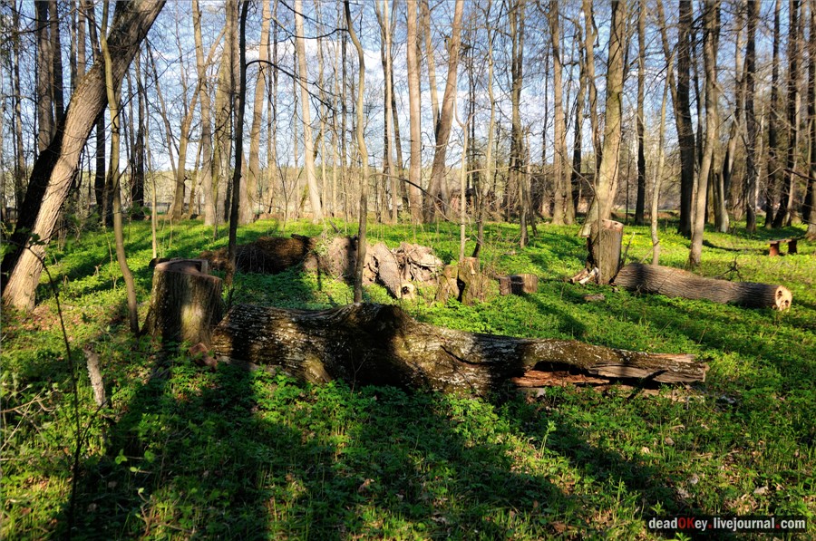 усадьба Орехово