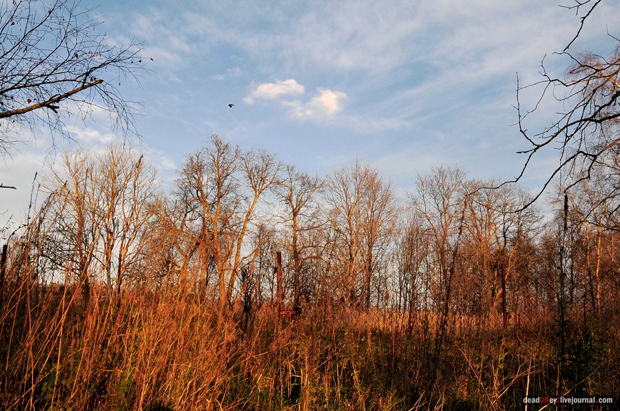 усадьба Бережки