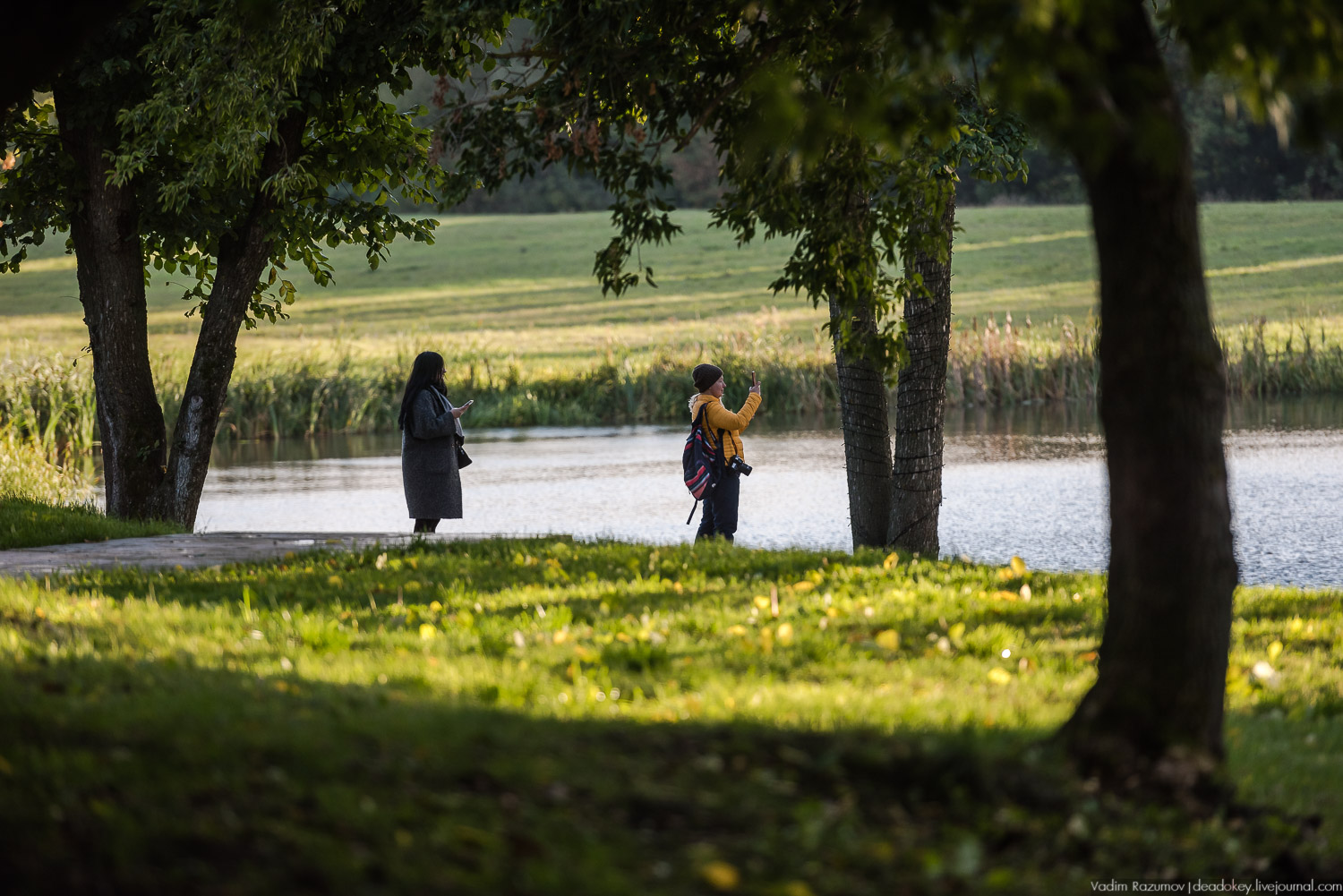 Липецкая область, усадьбы, инвестблогтур 