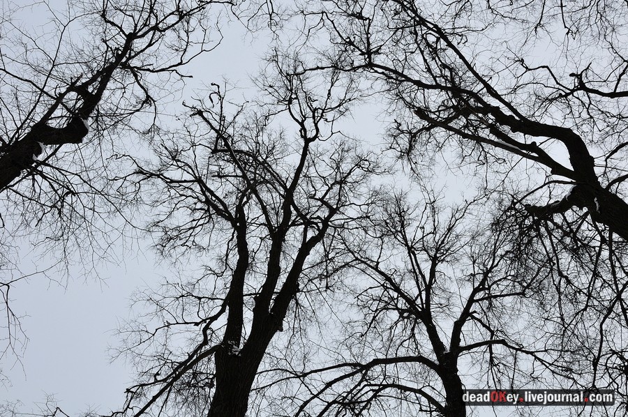 усадьба Лукино-Варино