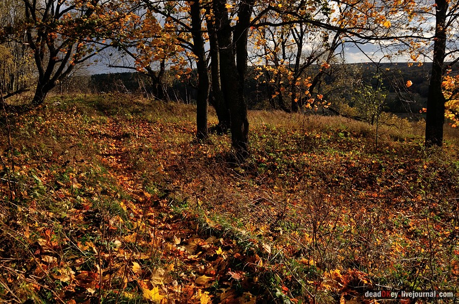 усадьба Авчурино