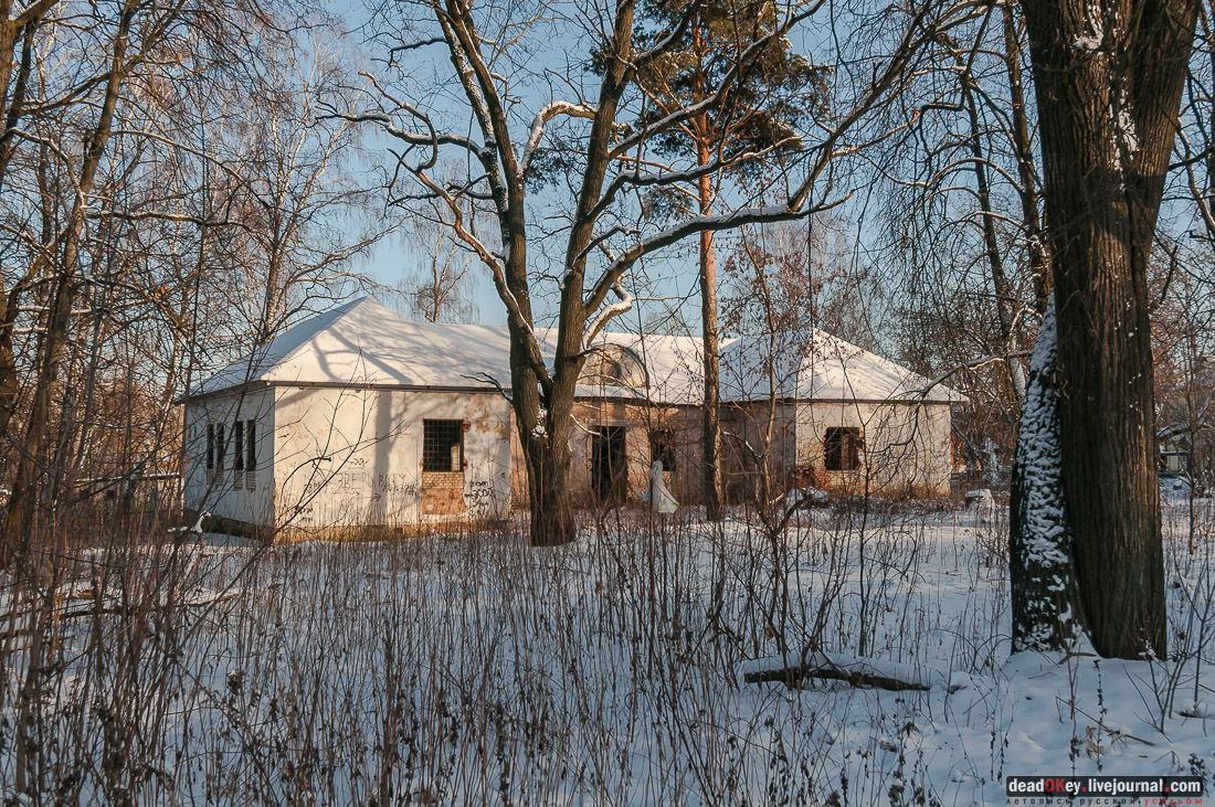 усадьба Васькино