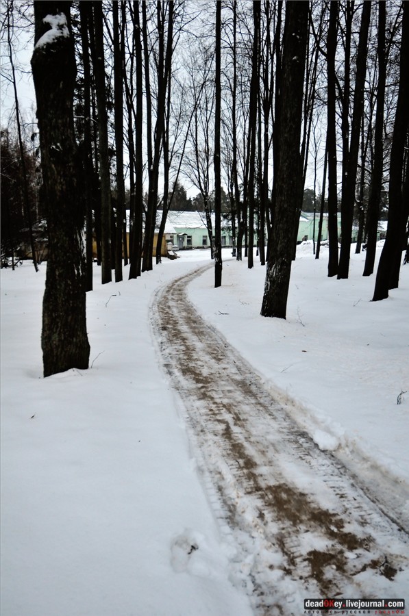 усадьба Введенское