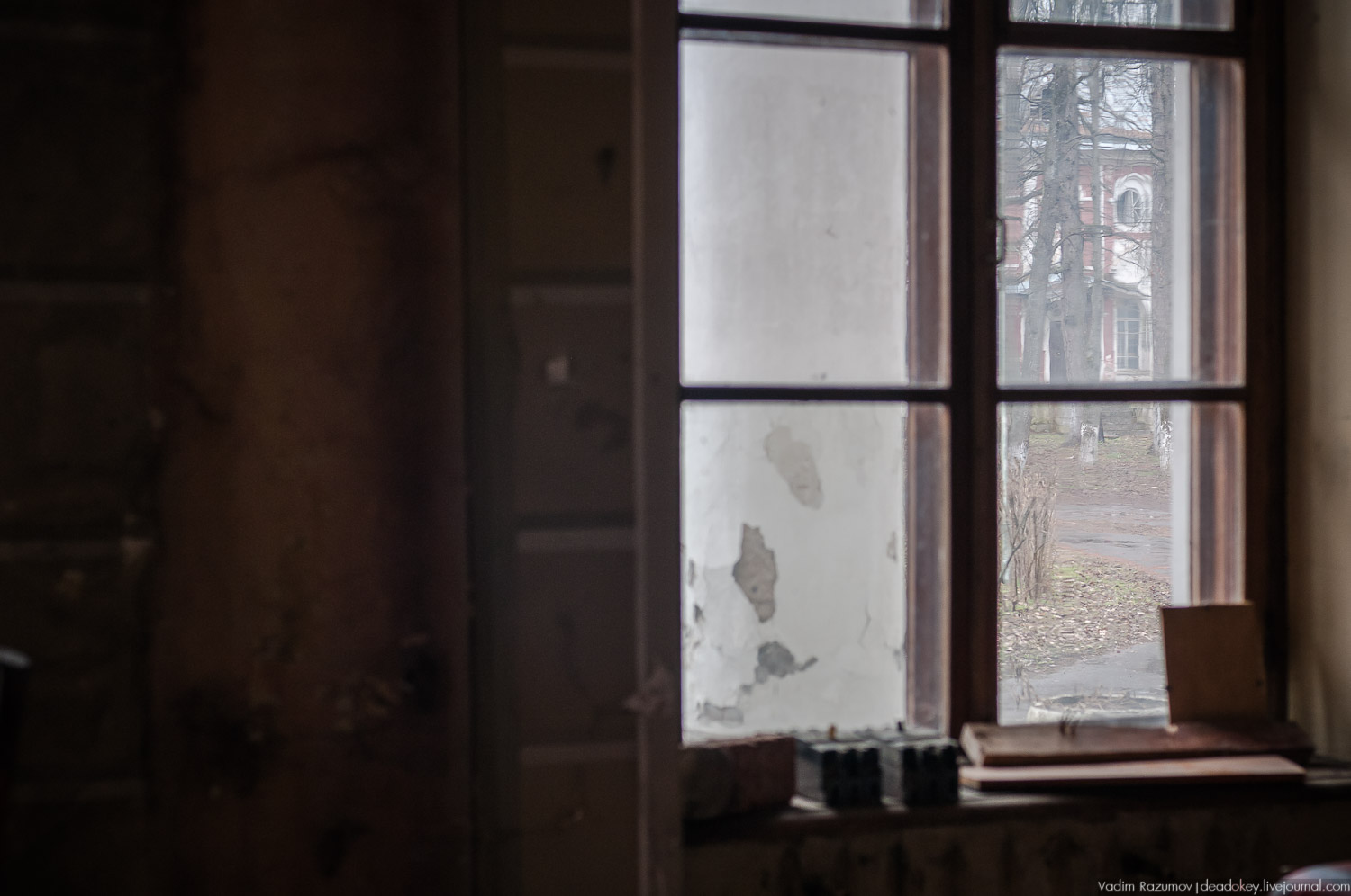 Интерьеры усадьбы Петрово-Дальнее, Дурнево