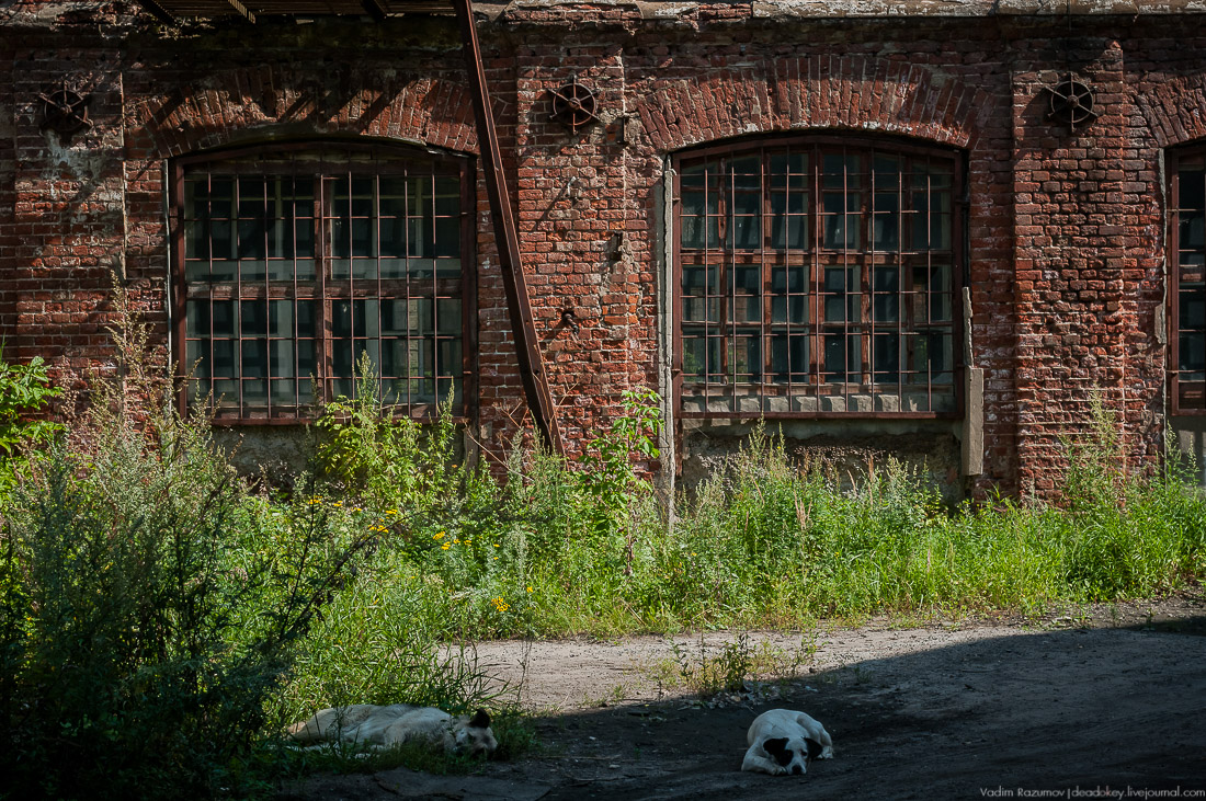 Шерстоткацкая и шелкоткацкая платочно-набивная фабрика братьев Кудиных, Московская обл., Павловский Посад, мкр. Городок.