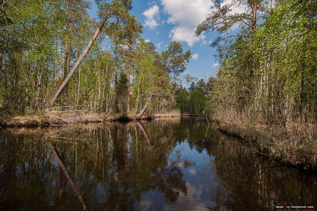 Россия, Карелия, Кондопожский район, Вендеры, Сяпчозеро, Спасская Губа