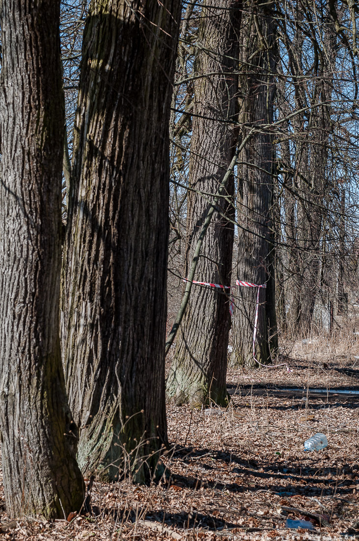 усадьба Доброе