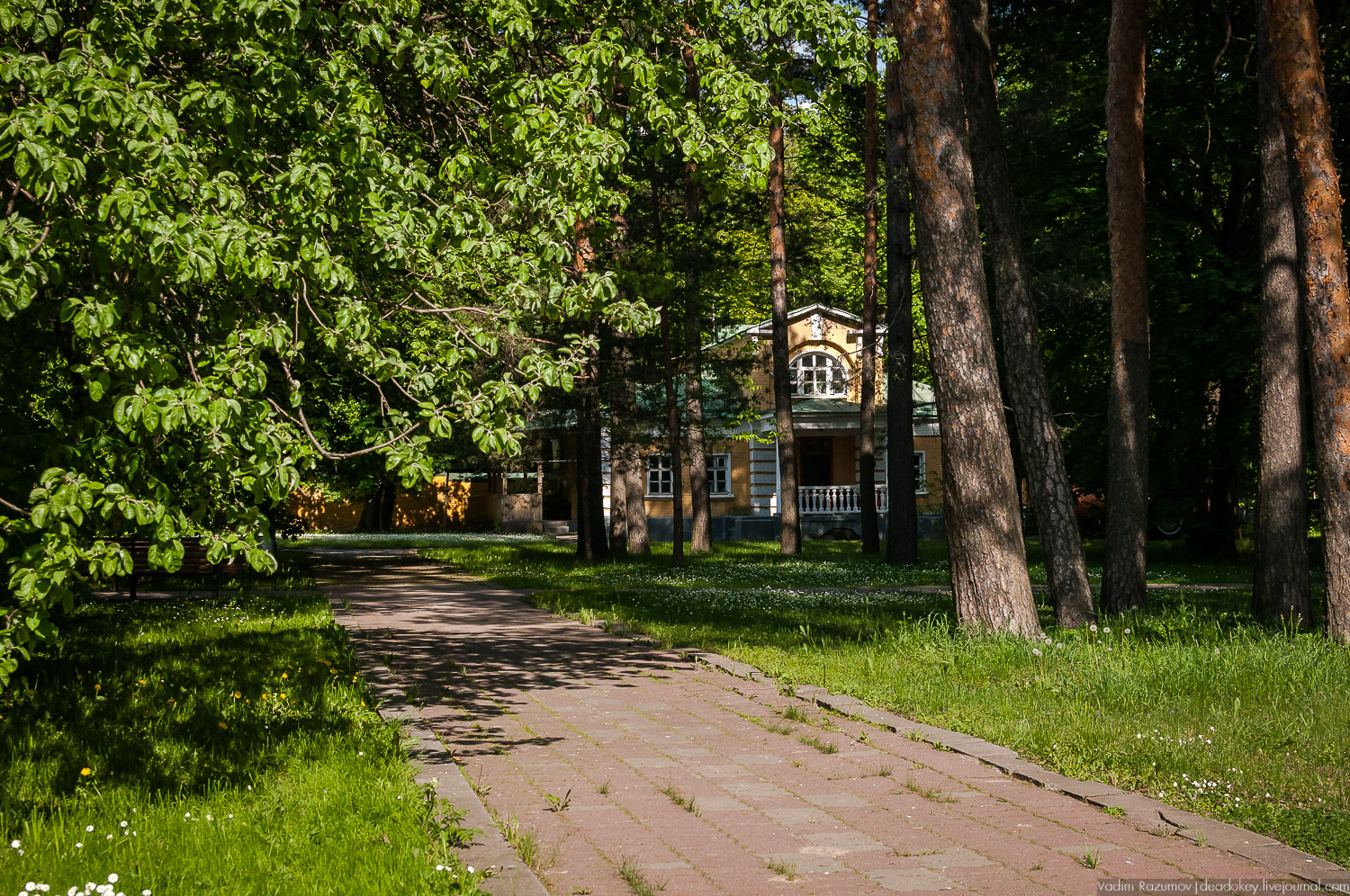 усадьба Валуево в мае