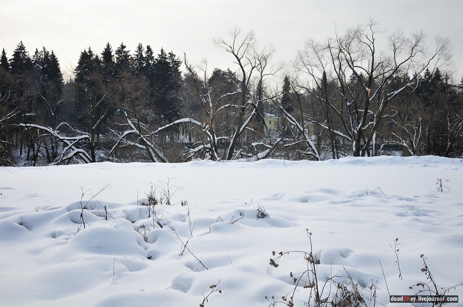 усадьба Котляково
