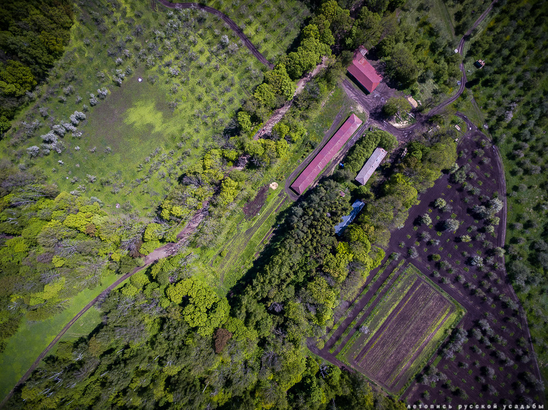 В гости с дроном к Л.Н. Толстому в усадьбу Ясная Поляна, Тульская область, Щекинский район, дер. Ясная Поляна