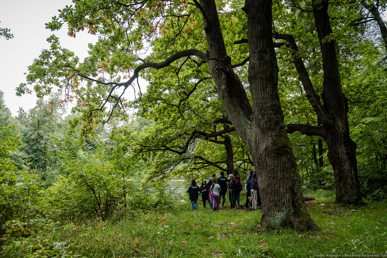 усадьба Никольское-Обольяниново, Усадебные волонтеры, субботник 17 августа 2019 года