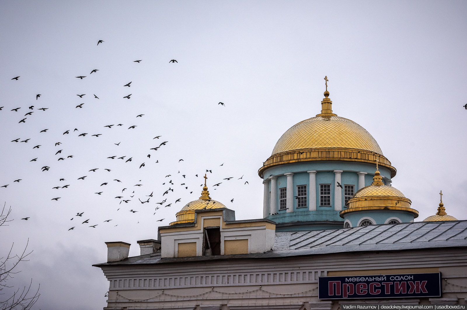 Лебедянь