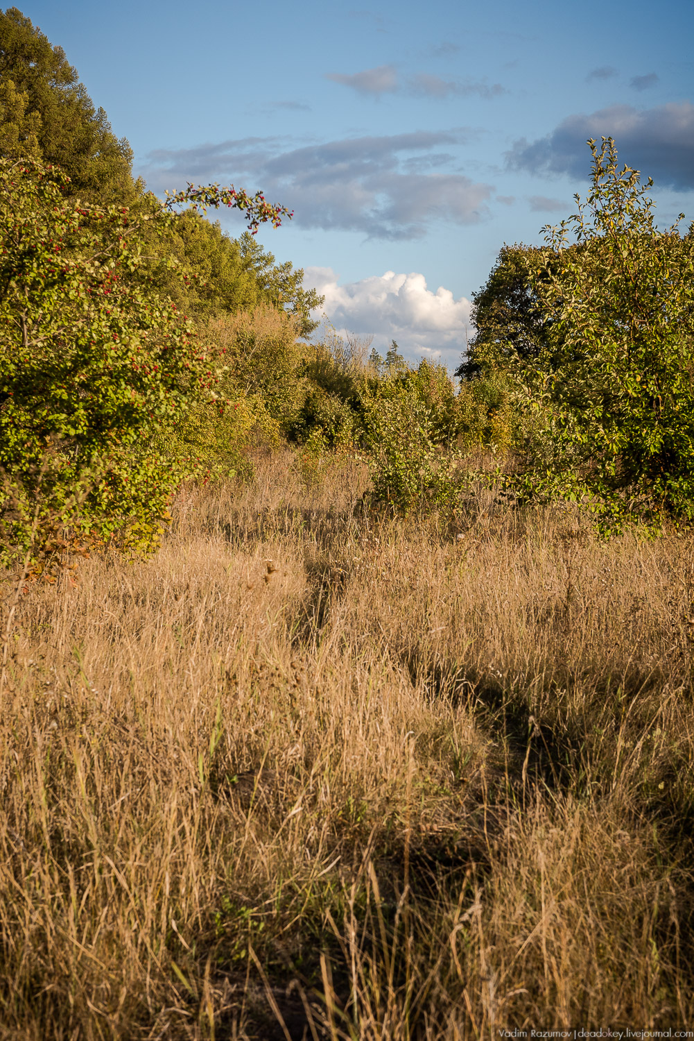 усадьба Полибино, Липецкая область, Усадебные волонтеры 21 сентября 2019 года