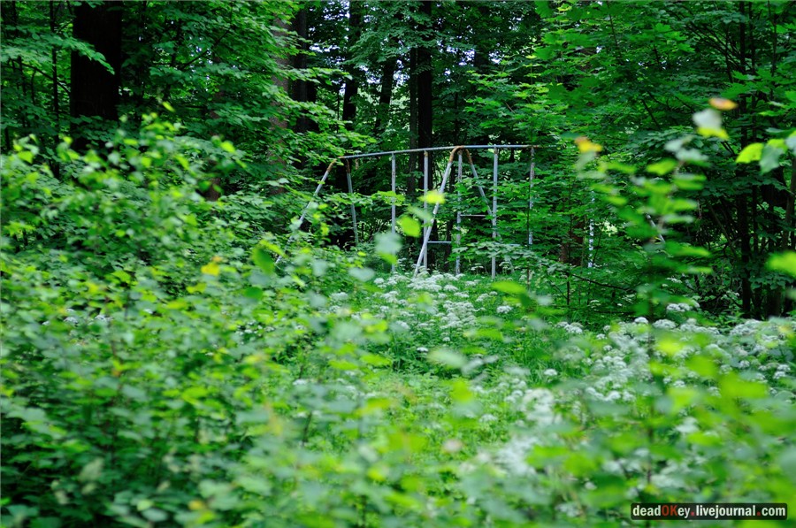 усадьба Паньково