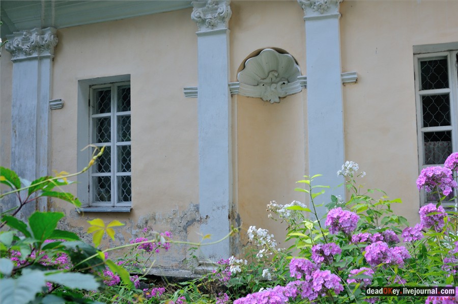 усадьба Глинки Якова Брюса (пансионат Монино)