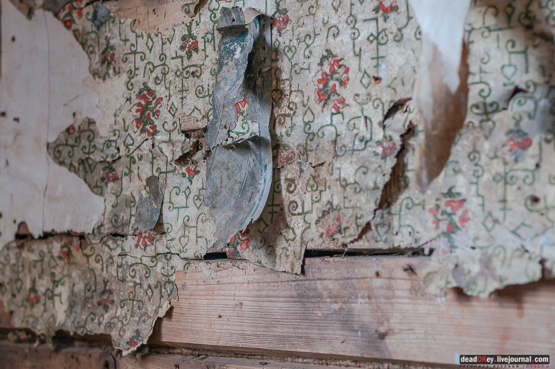 усадьба Васино