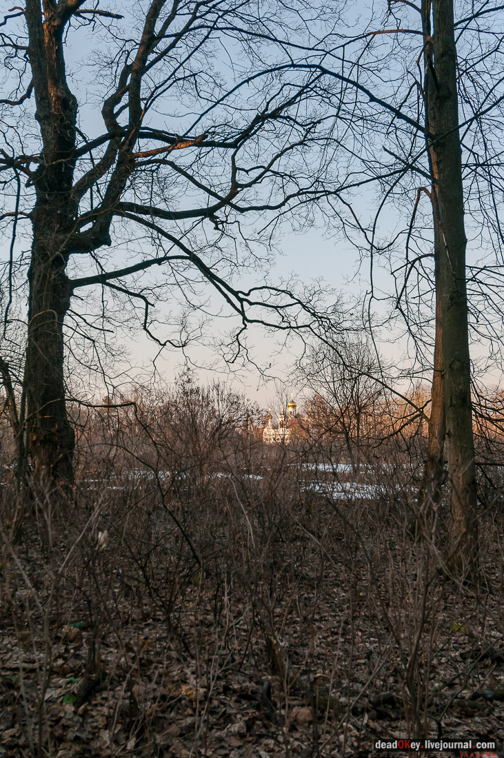 усадьба Никольское-Урюпино храм