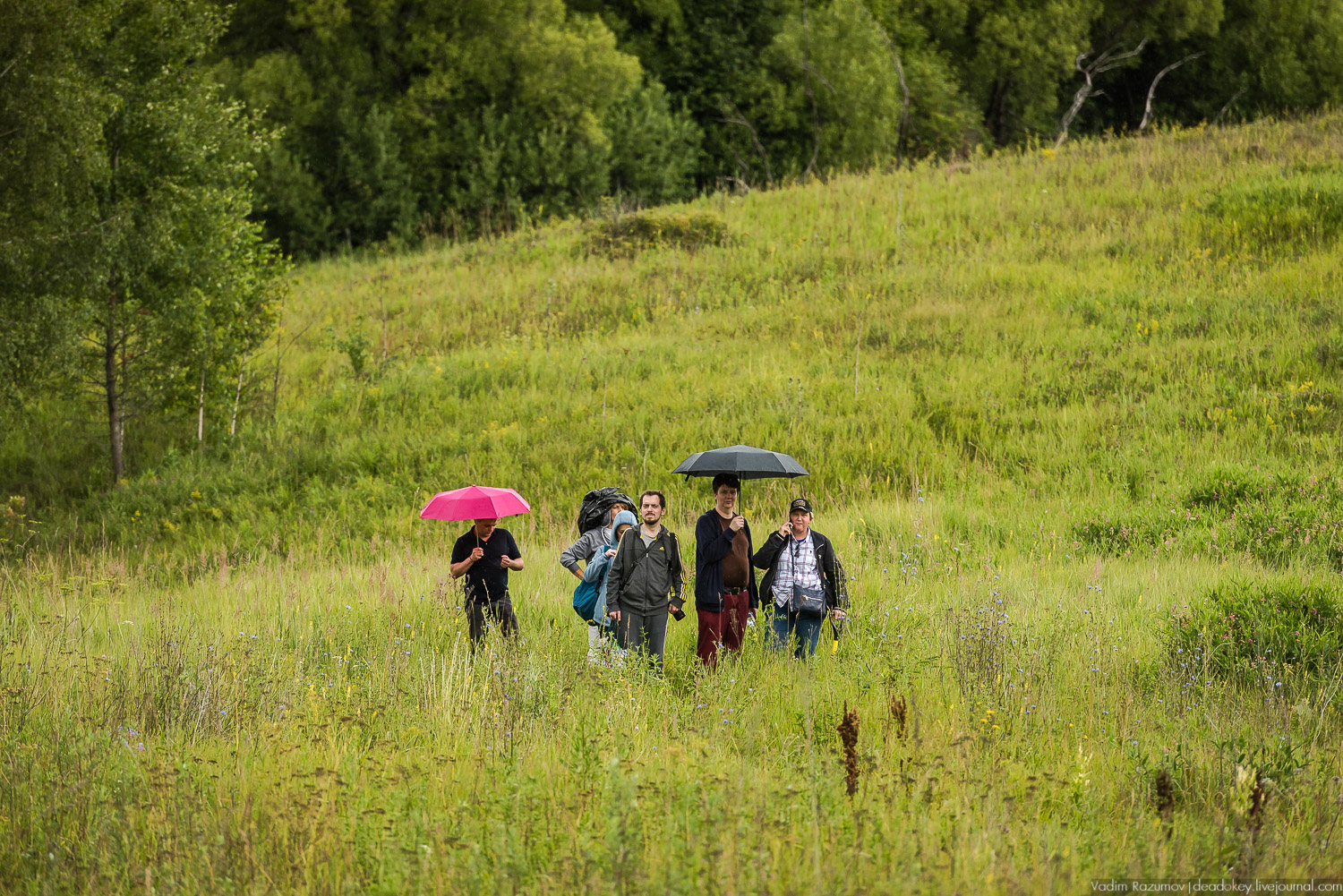 Усадебные волонтеры. Субботник на могиле В.И. Баженова, Старое Глазово, Горки