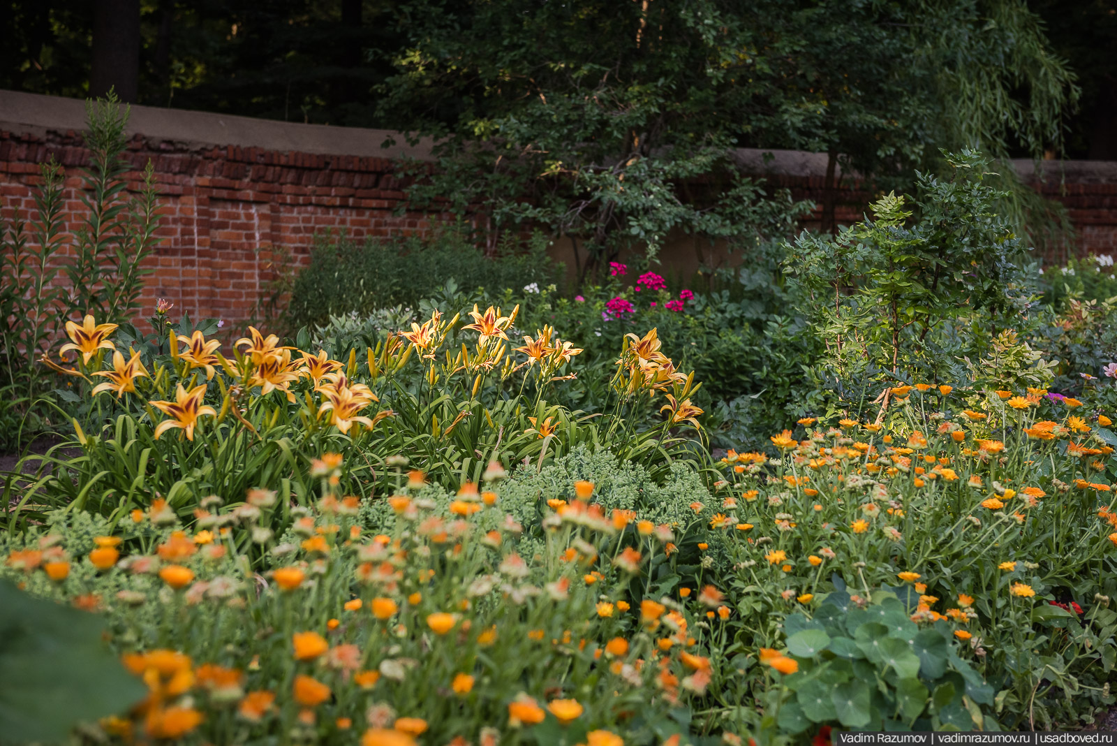 Богородицк, сад во дворце