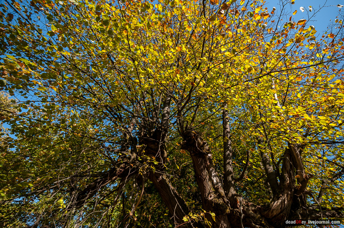 усадьба Стуловых