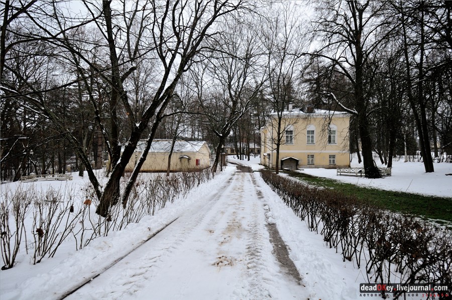 усадьба Введенское