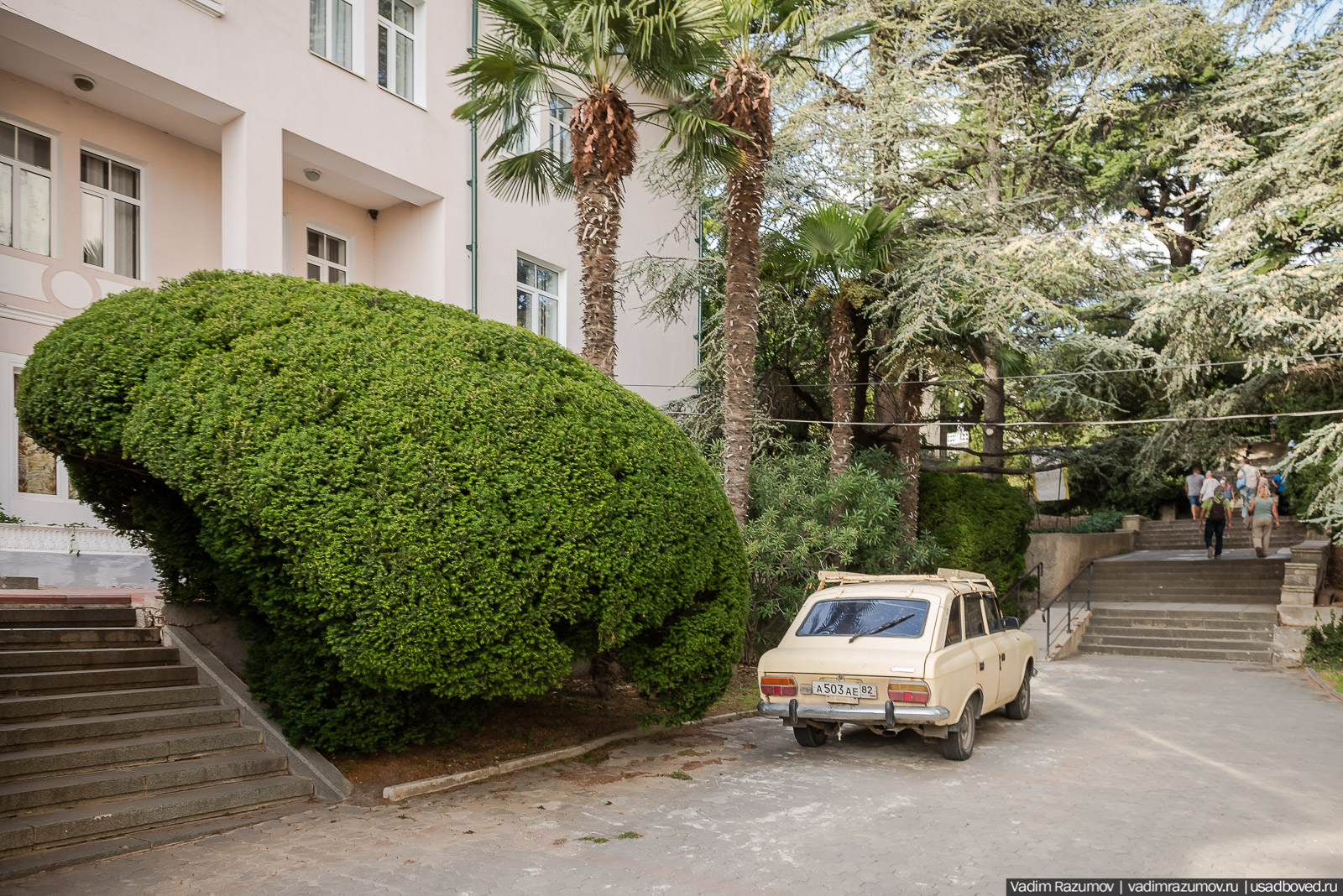 Никитский ботанический сад