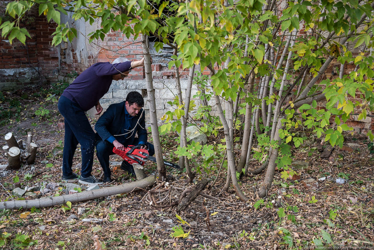усадьба Полибино, Липецкая область, Усадебные волонтеры 21 сентября 2019 года