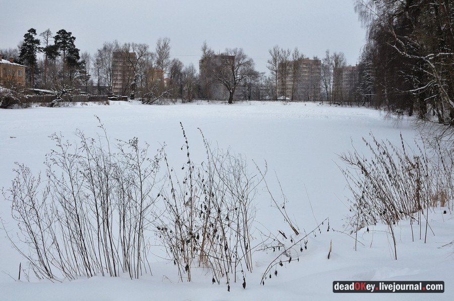 усадьба Лукино-Варино