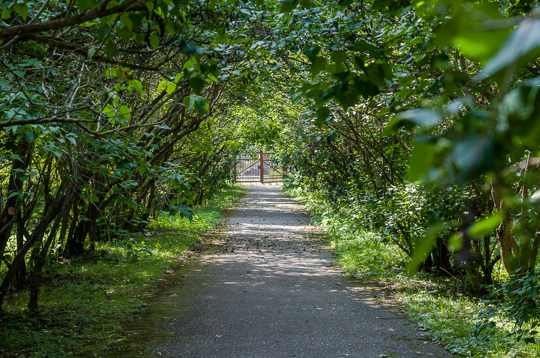 Усадьба Мелихово