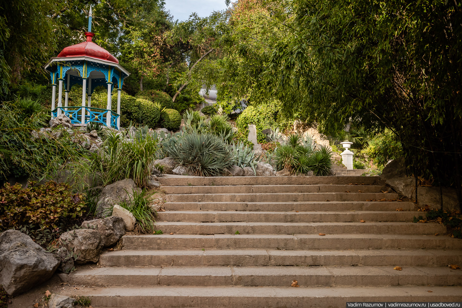 Никитский ботанический сад