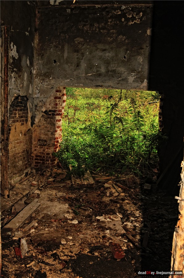 усадьба Ляхово