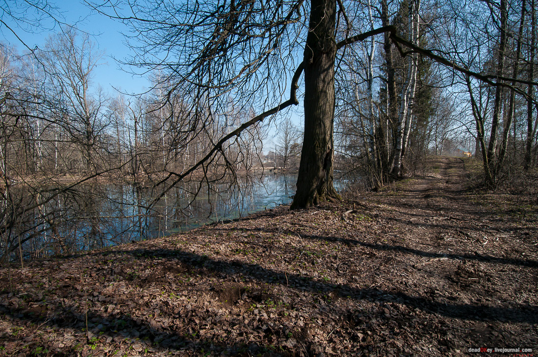 усадьба Савинское (исследование масонского парка)