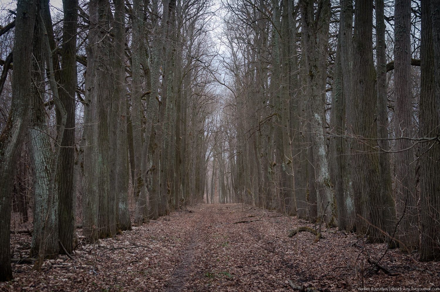 Усадьбы Орловской области