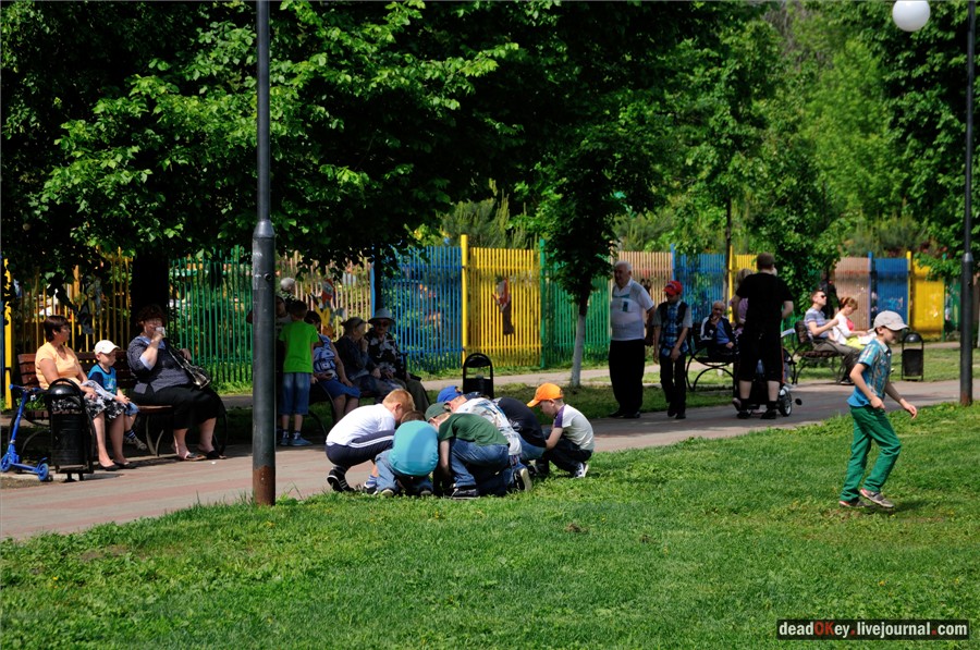 усадьба Наташино, Наташинские пруды