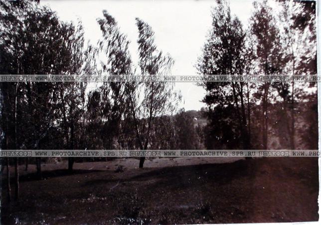 усадьба Городня